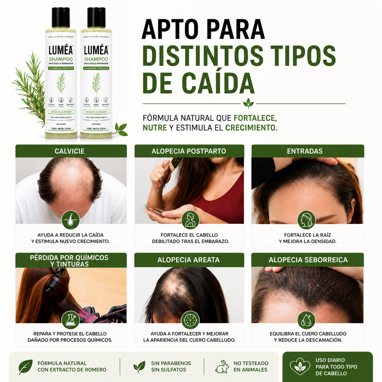 Rosemary Anti-Hair Loss Shampoo - Strengthens and Stimulates Growth
