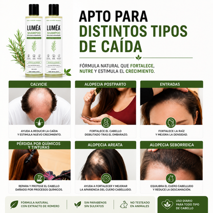 Rosemary Anti-Hair Loss Shampoo - Strengthens and Stimulates Growth