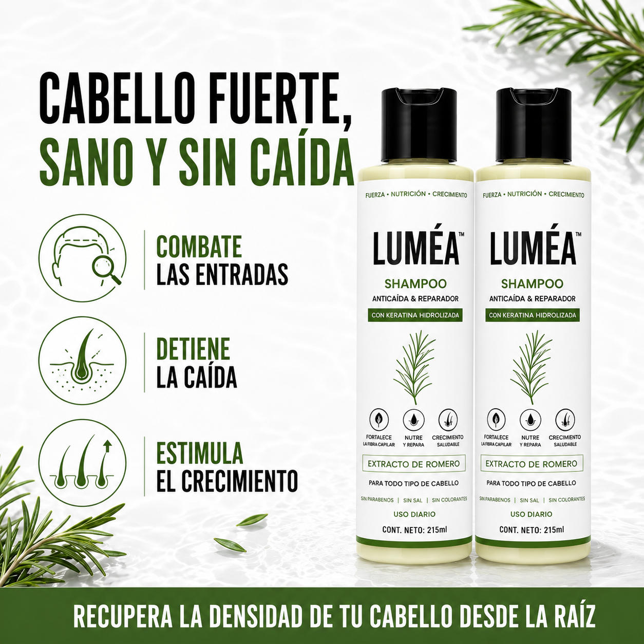 Rosemary Anti-Hair Loss Shampoo - Strengthens and Stimulates Growth