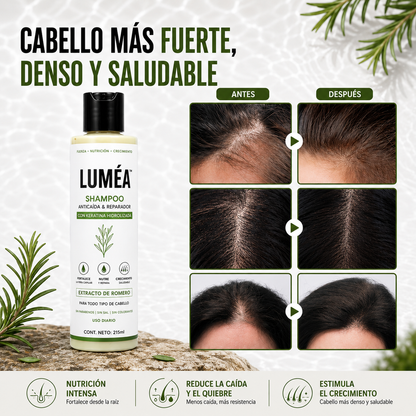 Rosemary Anti-Hair Loss Shampoo - Strengthens and Stimulates Growth